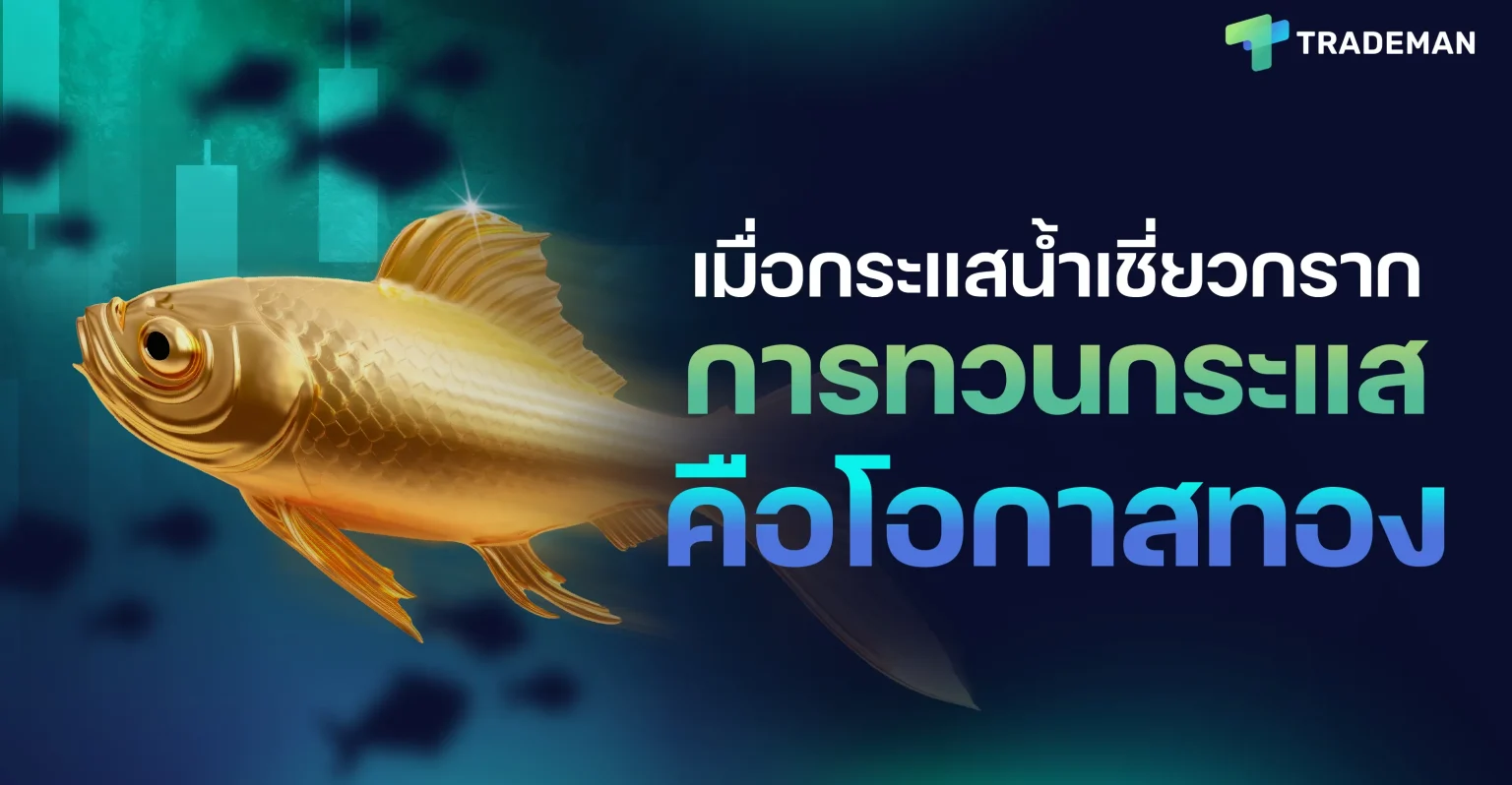 Scan Short Sell Trademan