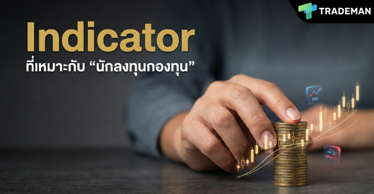 Fund Indicators Trademan